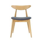 CHAIR (Set of 2), MID-CENTURY DESIGN, for living room