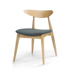 CHAIR (Set of 2), MID-CENTURY DESIGN, for living room